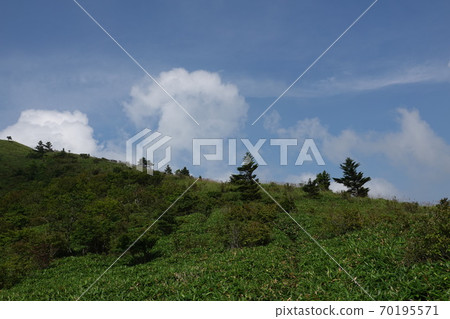Ridge of Ochiai Pass in summer 70195571
