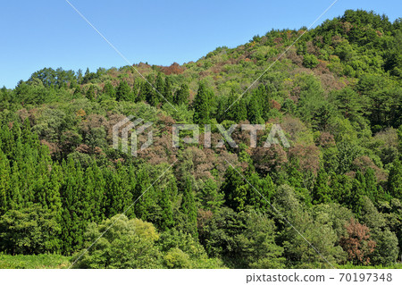 福島縣忠田町，里山佐藤山遭受破壞 70197348
