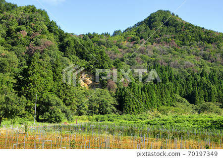 福島縣忠田町，里山佐藤山遭受破壞 70197349