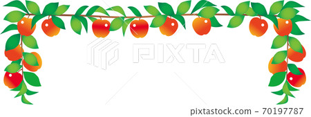 Apple branch frame Apple branch frame 70197787