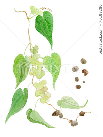 薯山農和牧後 薯山農和牧後 70198280