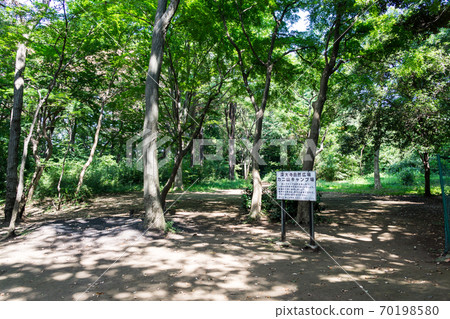A thicket signboard at Kaniyama Campground, Jindaiji Minamicho, Chofu City, Tokyo A thicket signboard at Kaniyama Campground, Jindaiji Minamicho, Chofu City, Tokyo 70198580