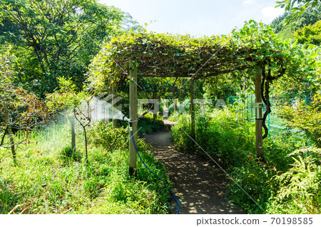 東京都調布市南大町調布市野草園的風景 照片素材 圖片 圖庫