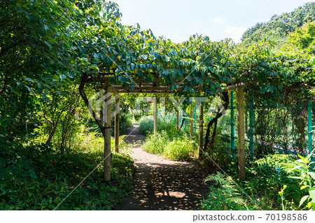 東京都調布市南大町調布市野花花園胡同 東京都調布市南大町調布市野花花園胡同 70198586