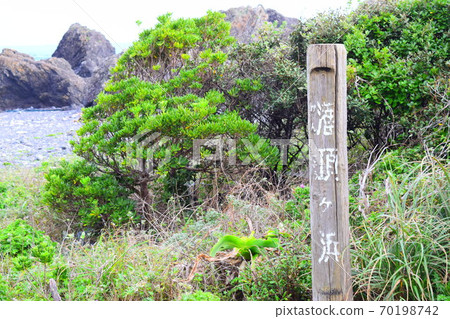 Kanjogahama [Muroto Global Geopark] 70198742