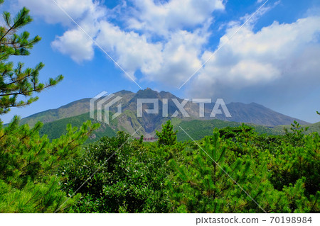 櫻島提羽 70198984