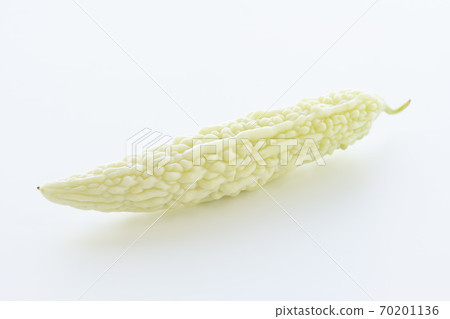 白苦 白苦 70201136