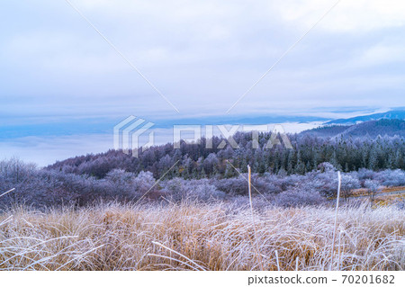 Takabotchi高原[長野縣]的晨霧冰景觀 70201682