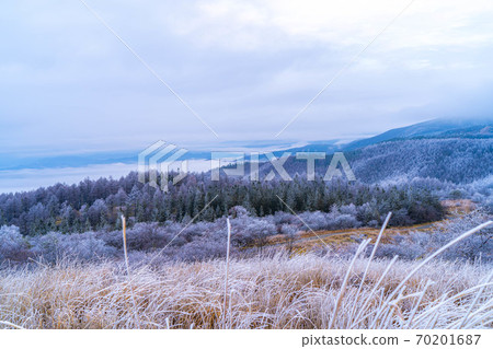Scenery of rime in the morning on the Takabotchi plateau [Nagano Prefecture] 70201687