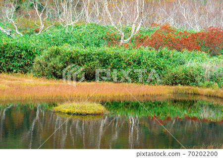 Tsugaike Natural Garden Autumn in Ukishima Marsh [Nagano Prefecture] 70202200