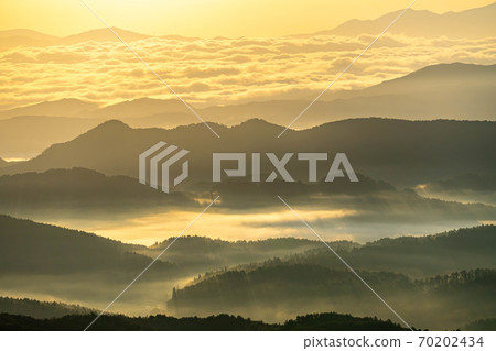 Golden sea of clouds and light in the mountains [Nagano Prefecture] 70202434