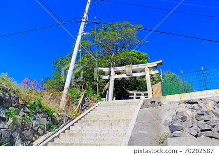 [香川]乙島木子子和鳥居前往豐臣姬陵 70202587
