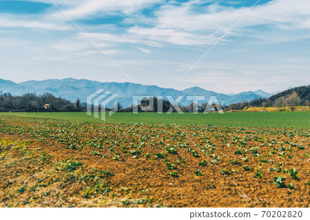 Countryside landscape with mountains in the background 70202820