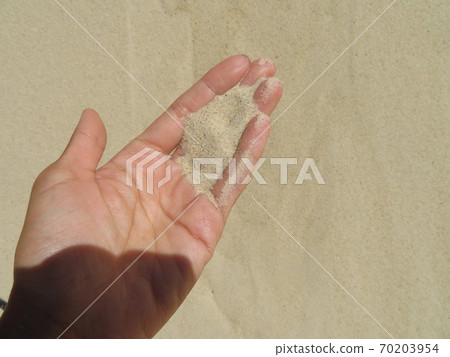 棕櫚砂 70203954