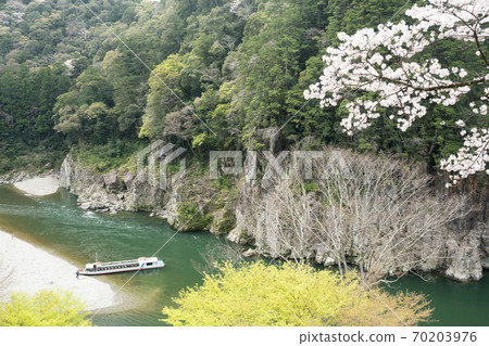 Sakura blooming Dorokyo and jet boat 70203976
