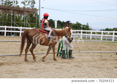 Horseback riding experience Horseback riding experience 70204313