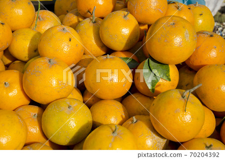 ripe orange fruits in asia market ripe orange fruits in asia market 70204392
