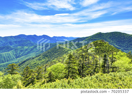 Dark green and summer mountains Dark green and summer mountains 70205337