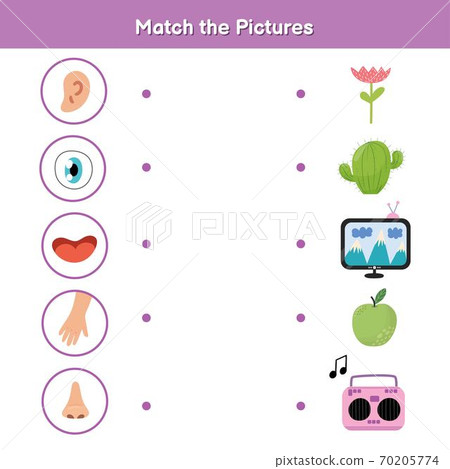 Five senses matching game for kids. Sight, touch, hearing, smell and taste 70205774