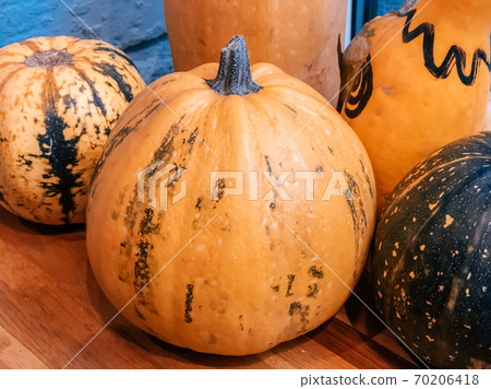 Pumpkins in the interior as a symbol of the Halloween holiday. Photo of pumpkins. Healthy eating. Pumpkins in the interior as a symbol of the Halloween holiday. Photo of pumpkins. Healthy eating. 70206418