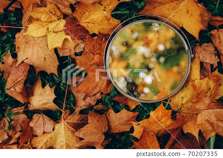 Colorful orange background of autumn leaves and round mirror 70207335