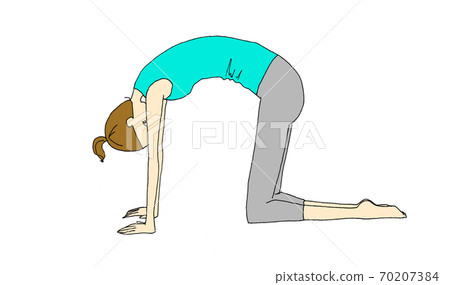 Yoga cat pose forward bending Yoga cat pose forward bending 70207384