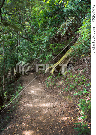 在國家公園的日光子周圍的日光/湯子湖岸徒步旅行 70207472