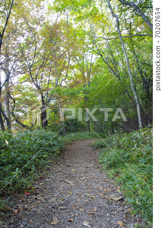 在國家公園的日光子周圍的日光/湯子湖岸徒步旅行 70207654