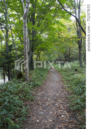 在國家公園的日光子周圍的日光/湯子湖岸徒步旅行 70207655