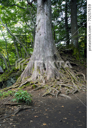 在國家公園的日光子周圍的日光/湯子湖岸徒步旅行 70207659