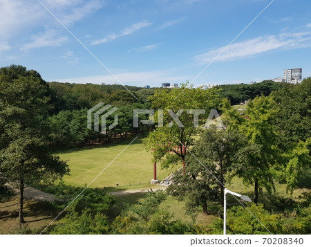 宣靖陵,公園,夜街,燈光 宣靖陵,公園,夜街,燈光 70208340