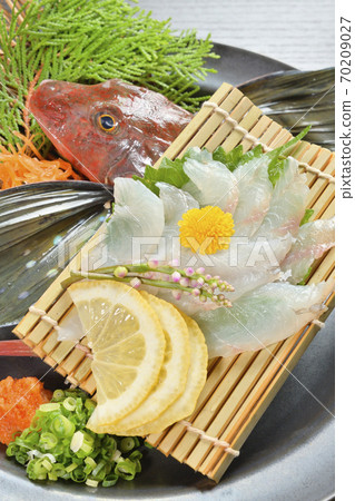 Sashimi of gurnard served on a plate (vertical composition from diagonally above) 70209027