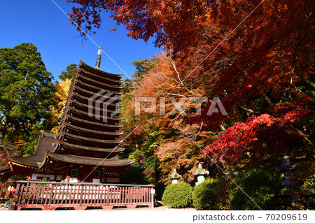 Autumn leaves of Shishiyama Shrine 70209619