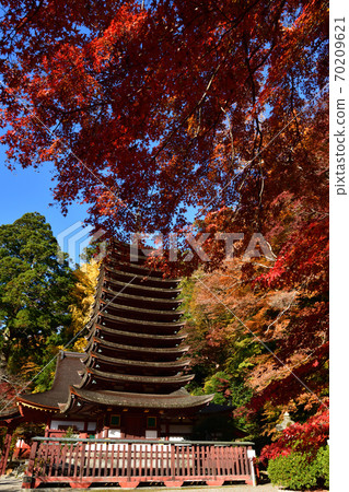 Shishiyama寺廟秋葉 Shishiyama寺廟秋葉 70209621