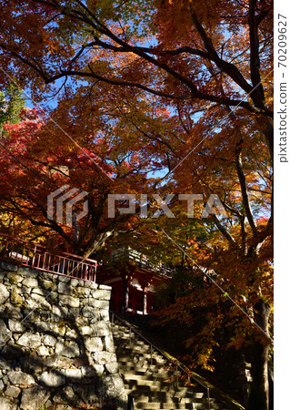Autumn leaves of Shishiyama Shrine 70209627