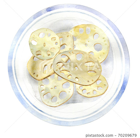 Watercolor lotus root on plate 70209679