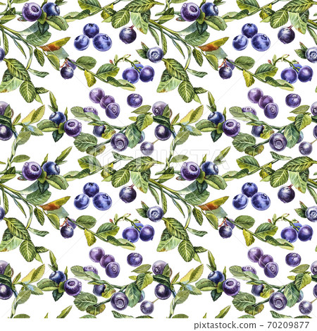 Blueberry. Seamless patterns. Watercolor botanical illustration. Hand drawn watercolor painting blueberry on white background. Blueberry. Seamless patterns. Watercolor botanical illustration. Hand drawn watercolor painting blueberry on white background. 70209877