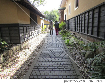 板栗樹徑 70209971