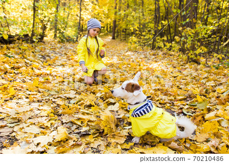 Little girl with a dog jack russell terrier. Child, childhood, friendship and pet concept. Small dog walking in the autumn park. 70210486