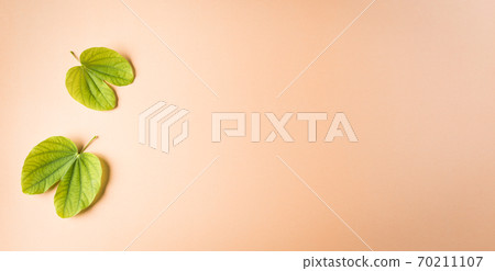 Happy Dussehra, Green leaf on orange pastel background. Dussehra Indian Festival concept. Happy Dussehra, Green leaf on orange pastel background. Dussehra Indian Festival concept. 70211107