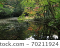 Autumn leaves of Hachimantai Basho-numa 70211924
