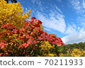Autumn leaves in three colors of red, yellow and blue 70211933