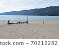 Ocean and driftwood 70212282