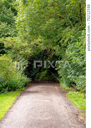 Stellagill Woods - County Durham United Kingdom Stellagill Woods - County Durham United Kingdom 70212586
