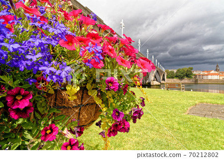 The Royal Tweed Bridge in Berwick Upon Tweed The Royal Tweed Bridge in Berwick Upon Tweed 70212802