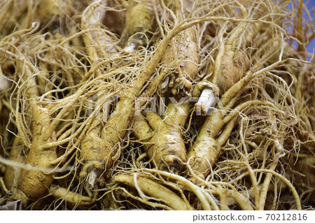 Korean Jinan Ginseng Fresh Ginseng 70212816