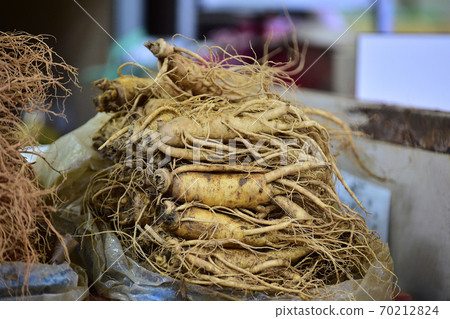 Korean Jinan Ginseng Fresh Ginseng Korean Jinan Ginseng Fresh Ginseng 70212824