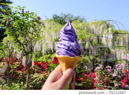 Wisteria soft Wisteria soft 70212887