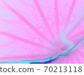Blue lines and abstract pink background 70213118