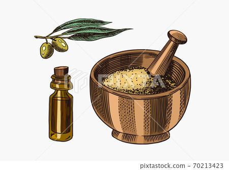Bowl of spa powder. Olives and a bottle of oil. Engraved hand drawn line Vintage old monochrome Bowl of spa powder. Olives and a bottle of oil. Engraved hand drawn line Vintage old monochrome 70213423